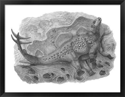 Framed Pencil Drawing of Hesperosaurus Mjosi Print