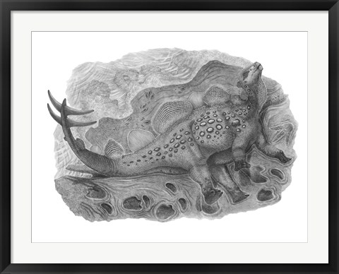 Framed Pencil Drawing of Hesperosaurus Mjosi Print