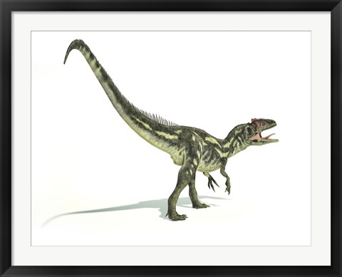 Framed Allosaurus Dinosaur Print