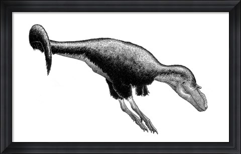 Framed Black Ink Drawing of Gorgosaurus Libratus Print