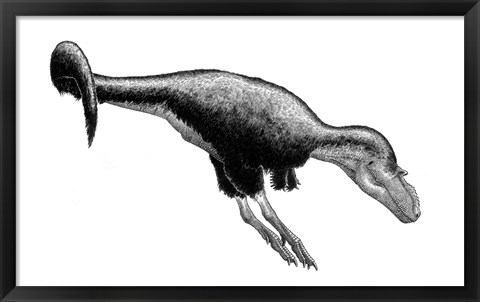 Framed Black Ink Drawing of Gorgosaurus Libratus Print