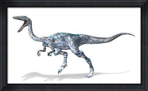 Framed 3D Rendering of a Coelophysis Rinosaur Print