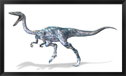 Framed 3D Rendering of a Coelophysis Rinosaur Print