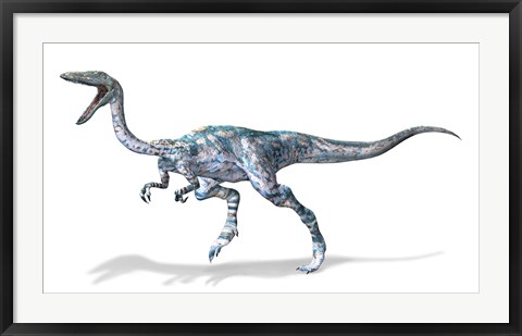 Framed 3D Rendering of a Coelophysis Rinosaur Print