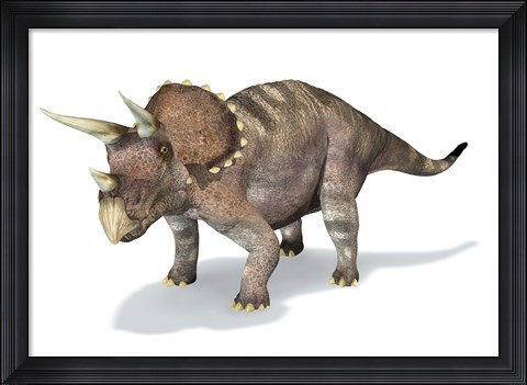 Framed 3D Rendering of a Triceratops Dinosaur Print