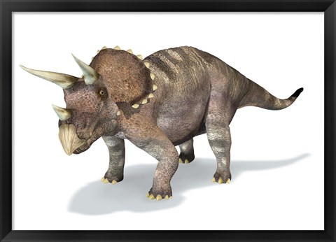 Framed 3D Rendering of a Triceratops Dinosaur Print