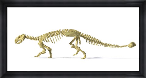 Framed 3D Rendering of an Ankylosaurus Dinosaur Skeleton Print