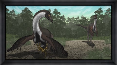 Framed Ornithomimus Mother Dinosaur with Juveniles, Adult Male in Background Print