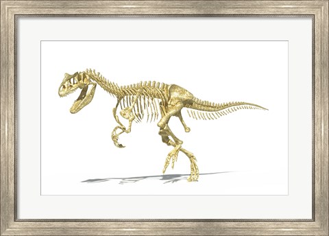 Framed 3D Rendering of an Allosaurus Dinosaur Skeleton Print