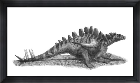 Framed Pencil Drawing of Gigantspinosaurus Sichuanensis Print