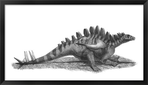 Framed Pencil Drawing of Gigantspinosaurus Sichuanensis Print