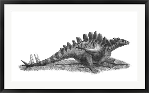 Framed Pencil Drawing of Gigantspinosaurus Sichuanensis Print