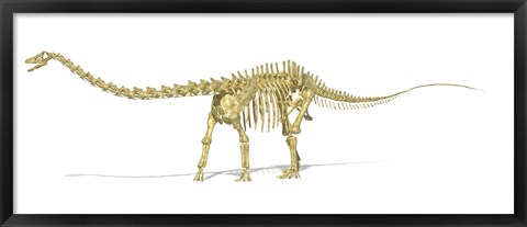 Framed 3D Rendering of a Diplodocus Dinosaur Skeleton Print