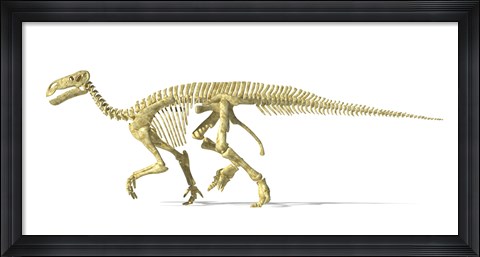 Framed 3D Rendering of an Lguanodon Dinosaur Skeleton Print
