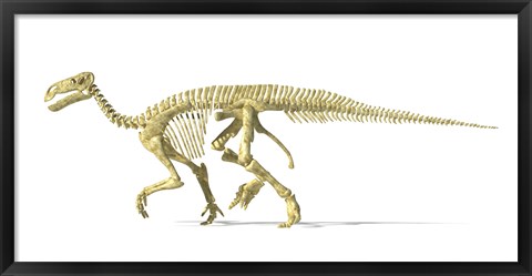 Framed 3D Rendering of an Lguanodon Dinosaur Skeleton Print