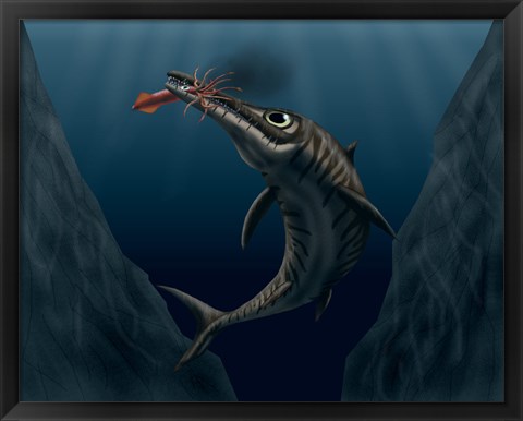 Framed Ophthalmosaurus Catches a Squid in the Deep Sea Print