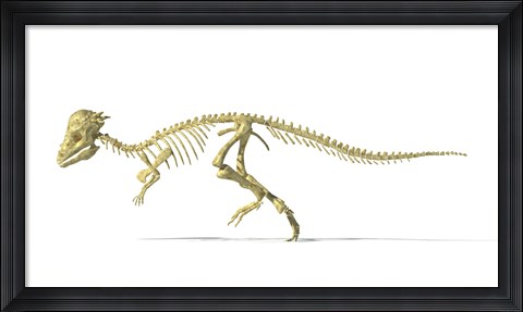 Framed 3D Rendering of a Pachycephalosaurus Dinosaur Skeleton Print