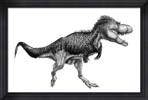 Framed Black Ink Drawing of Albertosaurus Sarcophagus Print