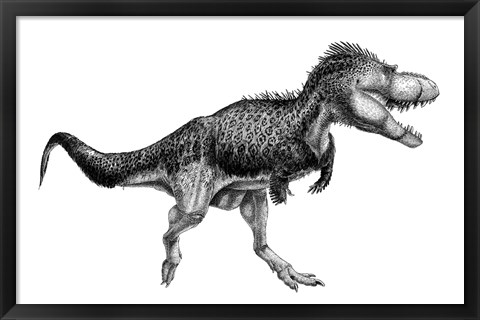 Framed Black Ink Drawing of Albertosaurus Sarcophagus Print