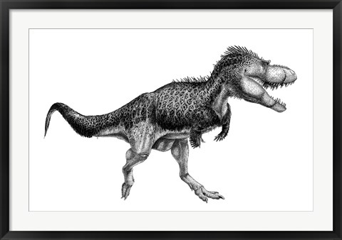 Framed Black Ink Drawing of Albertosaurus Sarcophagus Print