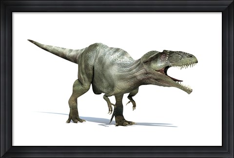 Framed 3D Rendering of a Giganotosaurus Dinosaur Print