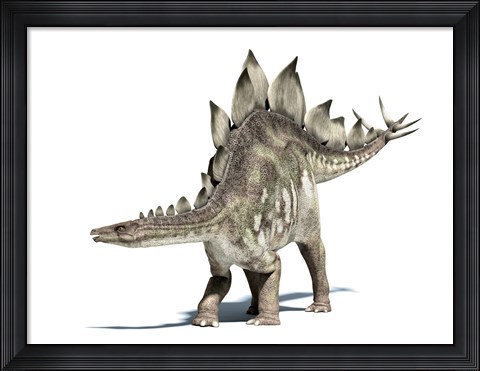 Framed 3D Rendering of a Stegosaurus Dinosaur Print