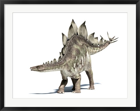 Framed 3D Rendering of a Stegosaurus Dinosaur Print