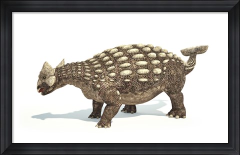 Framed Ankylosaurus Dinosaur on White Background Print