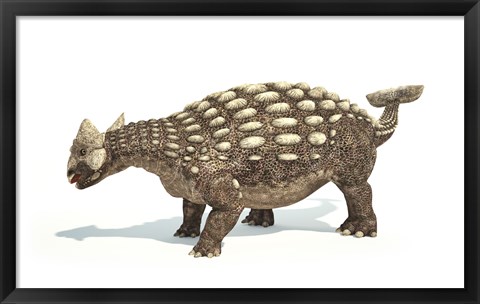 Framed Ankylosaurus Dinosaur on White Background Print