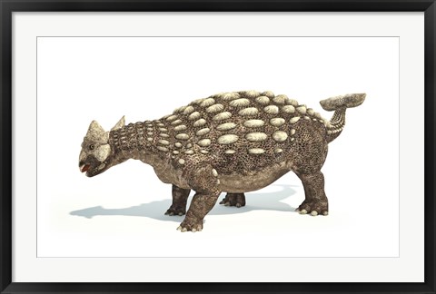 Framed Ankylosaurus Dinosaur on White Background Print