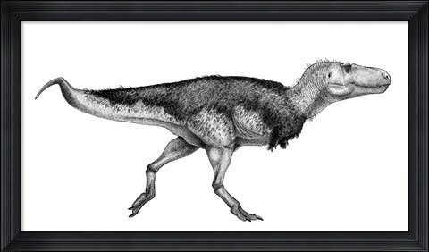 Framed Black Ink Drawing of Zhuchengtyrannus Magnus Print
