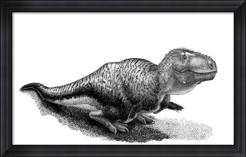 Framed Black Ink Drawing of Tarbosaurus Bataar Print