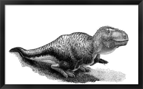 Framed Black Ink Drawing of Tarbosaurus Bataar Print