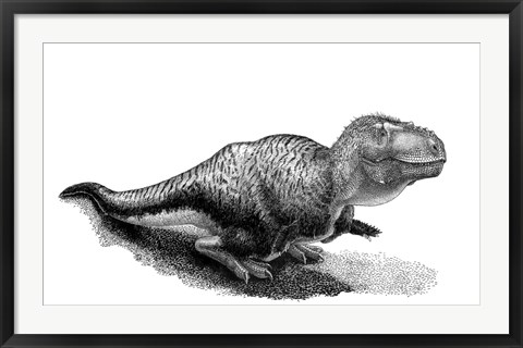 Framed Black Ink Drawing of Tarbosaurus Bataar Print