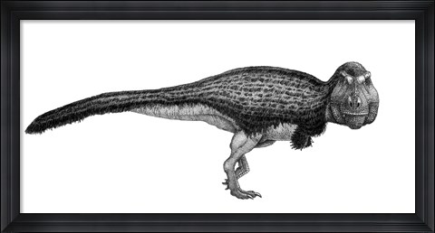 Framed Black Ink Drawing of Tyrannosaurus Rex Print