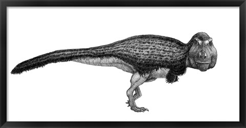 Framed Black Ink Drawing of Tyrannosaurus Rex Print