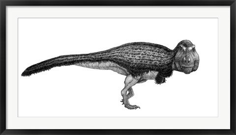 Framed Black Ink Drawing of Tyrannosaurus Rex Print