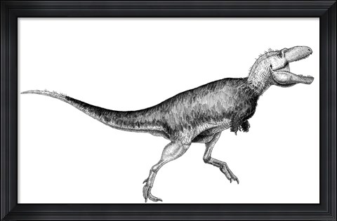 Framed Black Ink drawing of Bistahieversor Sealeyi Print