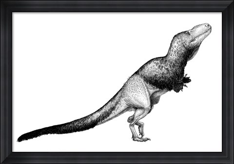 Framed Black Ink Drawing of Daspletosaurus Torosus Print