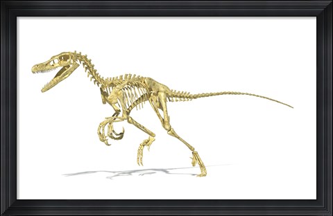 Framed 3D Rendering of a Velociraptor Dinosaur Skeleton Print