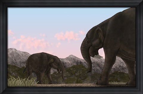 Framed Two Deinotherium, an Extinct Animal of the Miocene Epoch Print