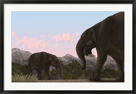 Framed Two Deinotherium, an Extinct Animal of the Miocene Epoch Print