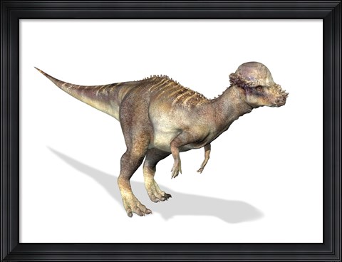 Framed 3D Rendering of a Pachycephalosaurus Dinosaur Print