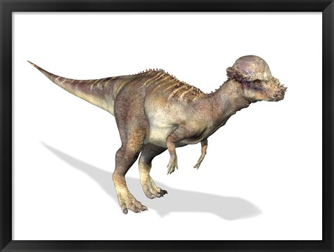 Framed 3D Rendering of a Pachycephalosaurus Dinosaur Print