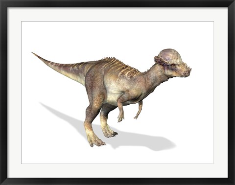 Framed 3D Rendering of a Pachycephalosaurus Dinosaur Print