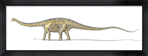 Framed 3D Rendering of a Diplodocus Dinosaur with Full Skeleton Superimposed Print