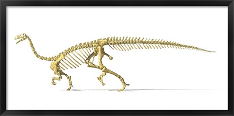 Framed 3D Rendering of a Plateosaurus Print