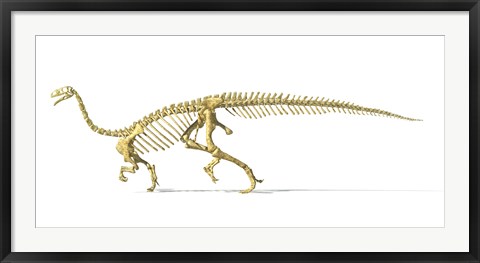 Framed 3D Rendering of a Plateosaurus Print