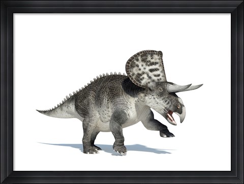 Framed 3D Rendering of a Zuniceratops Dinosaur Print