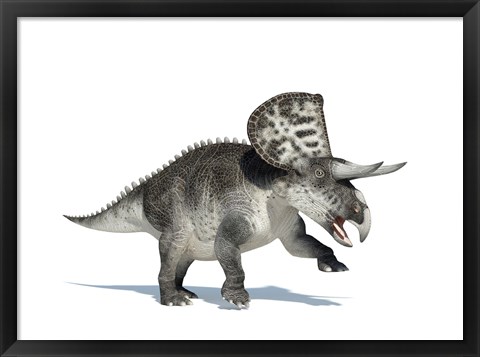 Framed 3D Rendering of a Zuniceratops Dinosaur Print